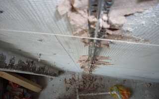 Какой слой штукатурки можно наносить на стену, потолок из гипсокартона — минимальная и максимальная толщина