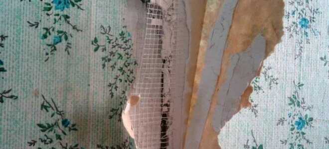 Как снять обои с гипсокартона (11 фото): способы быстро отодрать старые флизелиновые, бумажные, как отклеить, не повредив стену