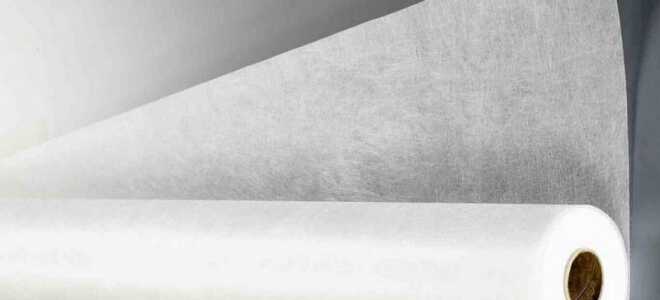 Нужно ли шпаклевать стеклохолст перед покраской: шпаклевка по стеклохолсту под покраску