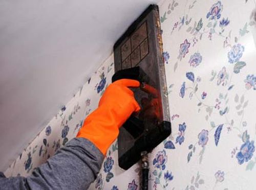 kleit_oboi_na_shtukaturku_01