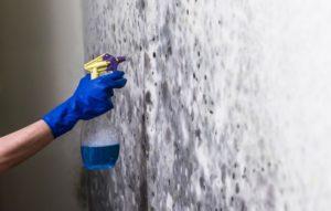 Обеззараживают очаги поражения гнилью, плесенью и другими микроорганизмами