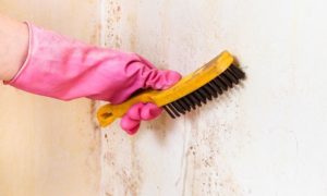 Пыль смахивают широкой щеткой